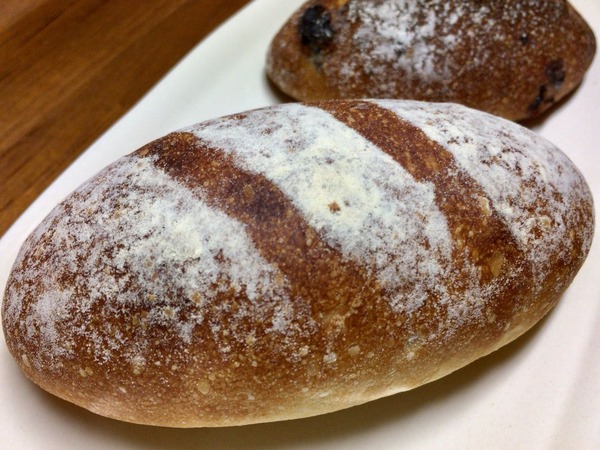 ニイガタコネルクラブパンフェス