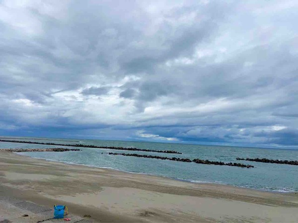 2026 新春寒中水泳