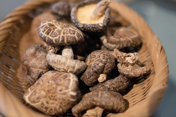 きのこ祭り 柿ま～けっと