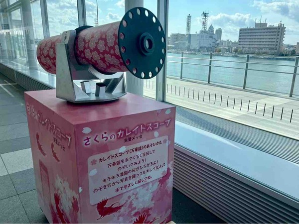 春のメッセージツリー