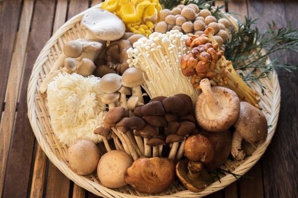 きのこ祭り 柿ま～けっと