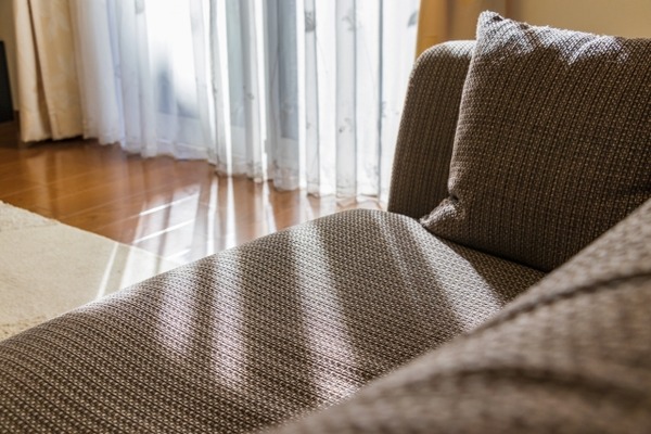 FLANNEL SOFA 第1回 新潟販売会