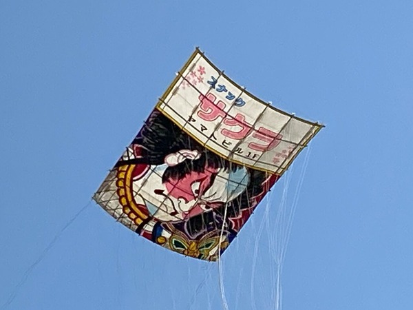 風と大地のめぐみ 凧フェスティバル&産業まつり2025