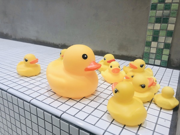 朝日湯 アヒル風呂