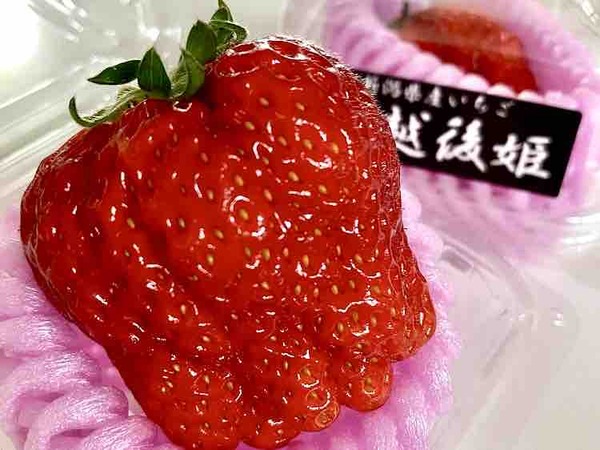 天下分け目のいちご戦国時代2026