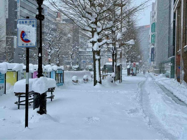 2025年2月 人気記事