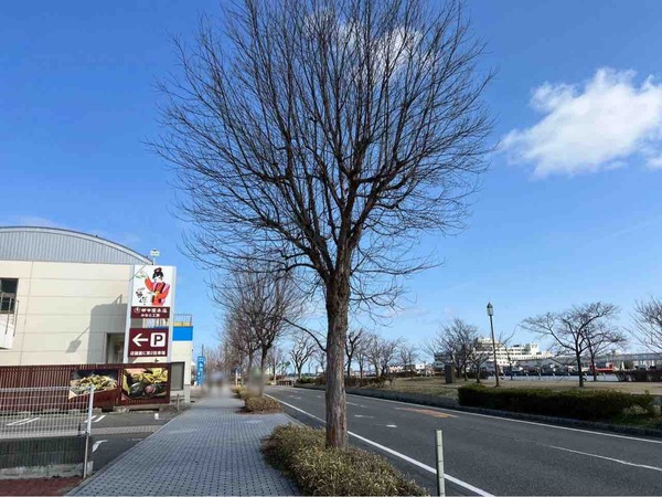 田中屋本店みなと工房 開店19周年祭