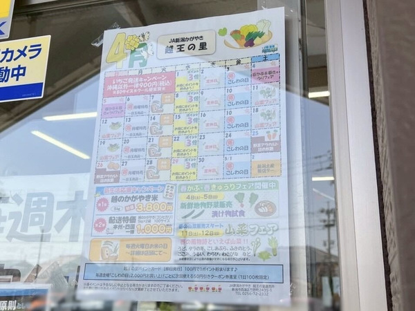野菜アラカルト詰め放題