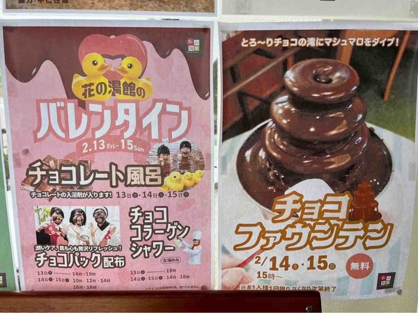 チョコレート風呂 我が家の愛猫自慢風呂