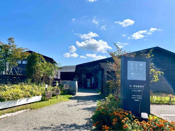 そら野テラスの秋市