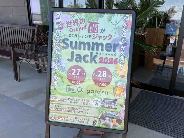Summer Jack 2026