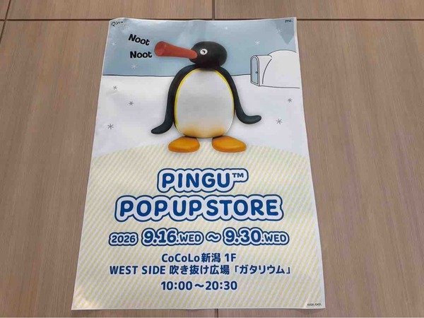 PINGU™ POP UP STORE