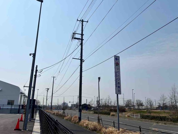 アーバンスポーツフェス