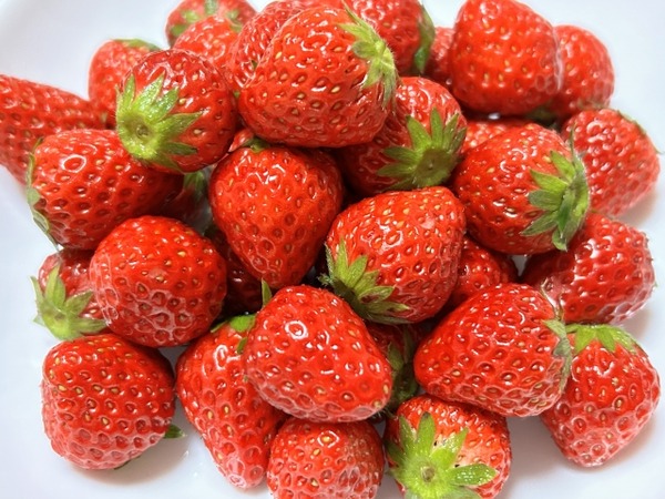 天下分け目のいちご戦国時代2026