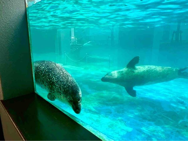 マリンピア日本海