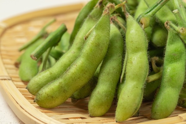規格外黒埼茶豆の詰め放題