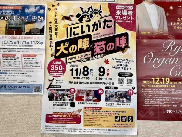 にいがた犬の陣×猫の陣