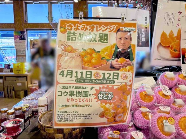 きよみオレンジ詰め放題