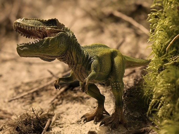 あそべぇる恐竜ランド