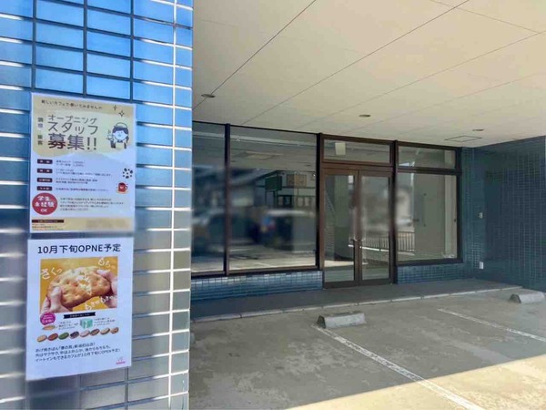 象の耳