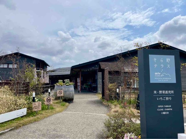 そら野テラスの春市