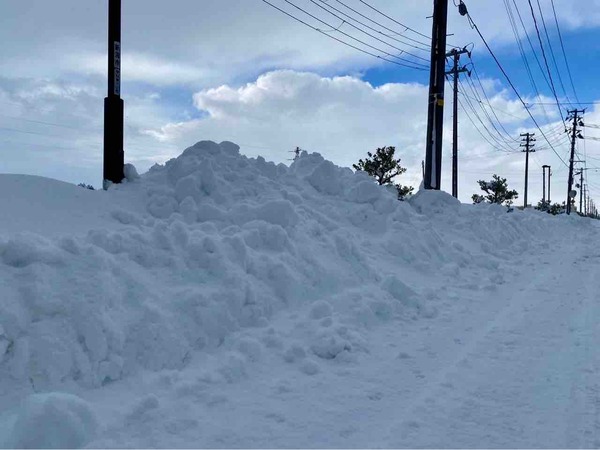 新潟県の雪情報