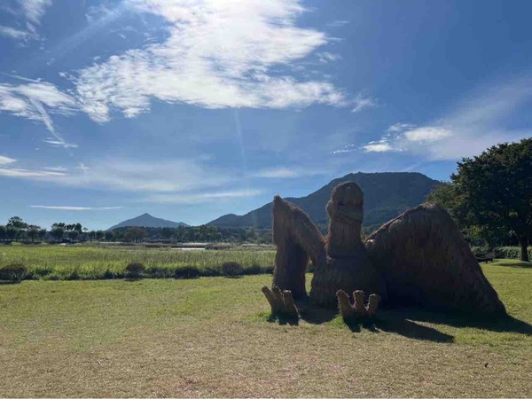 紅葉スポット2024 新潟市 上堰潟公園