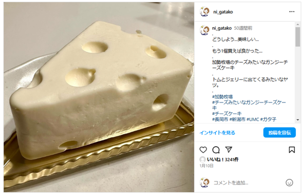 インスタトレンド大賞(加勢牧場)