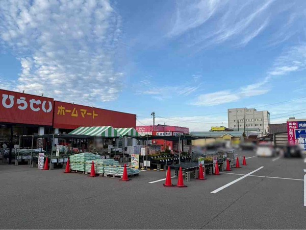 DAISO ひらせい亀田店（ダイソー）