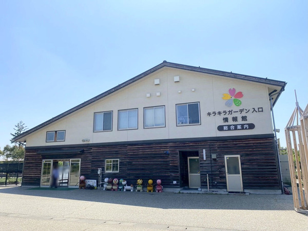 夏のイルミネーション