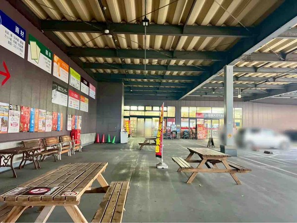 馬がやって来る!