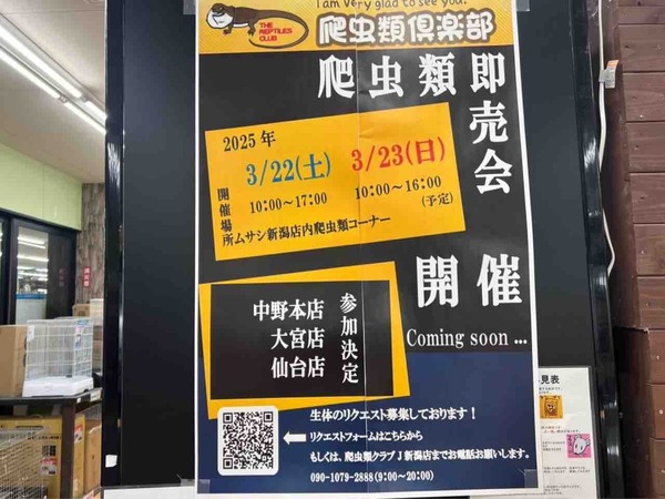爬虫類即売会