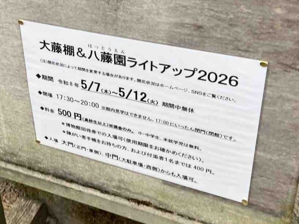 大藤棚&八藤園ライトアップ2026