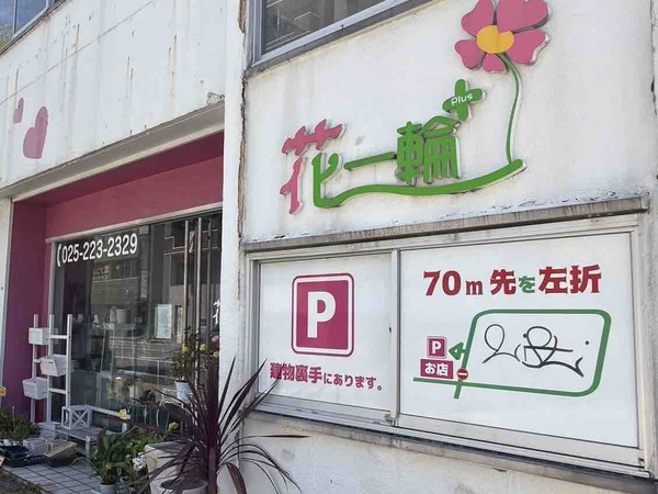 花一輪＋