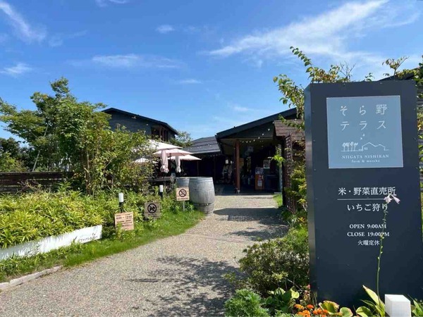 そら野テラス 秋の収穫祭