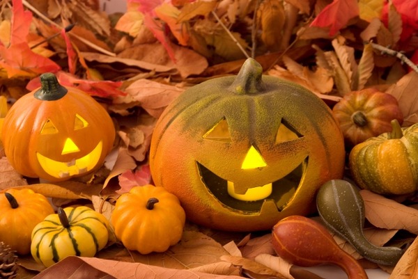 大かまでハッピーハロウィン！『万代島多目的広場 大かま』で『ニイガタハロウィンフェス（Halloween Festival）』開催！10月25日。