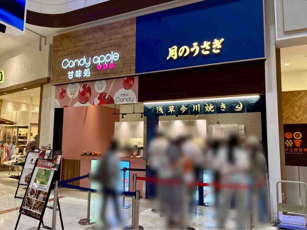 月のうさぎ