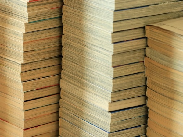 魔法使いロゼの佐渡ライフ