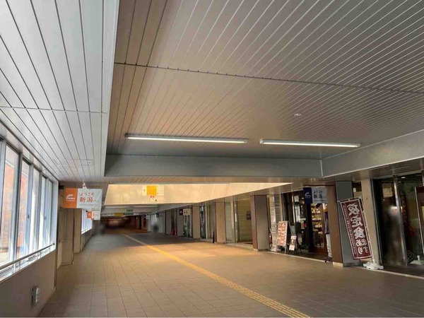 第30回 新潟日本酒リーグフェスタ 2026春