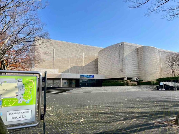 科学館キッズパーク～光のファンタジア2025-2026～