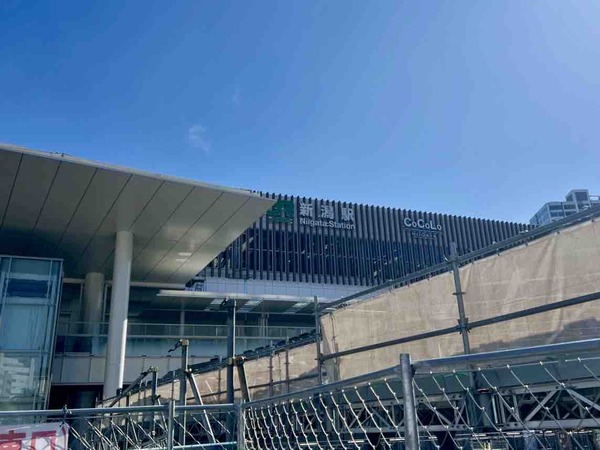 あほや/横浜こがね庵