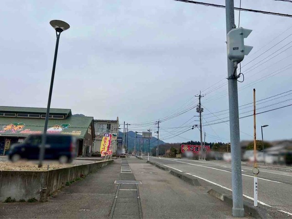 さつまいも詰め放題