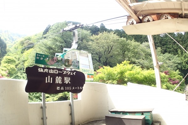 弥彦山 夜景&星空クルーズ