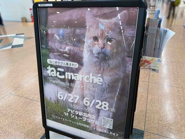 ねこmarché（ねこマルシェ）
