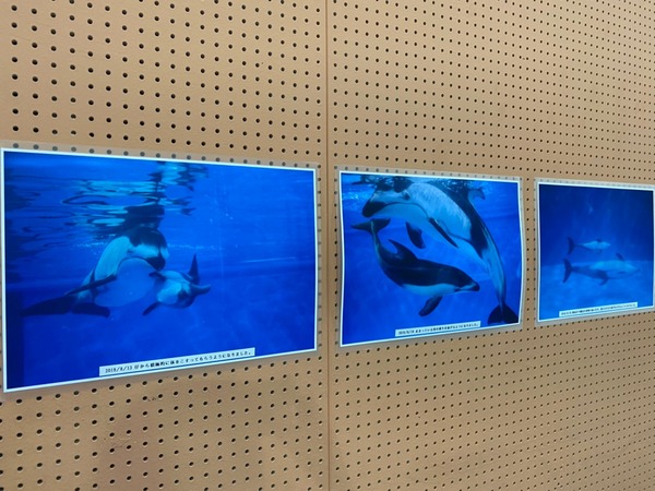 cc2e0bf244efa17233097102ac53f0534_27454546_200710_36