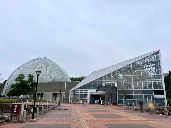 新潟県立植物園ウィンターフェスタ