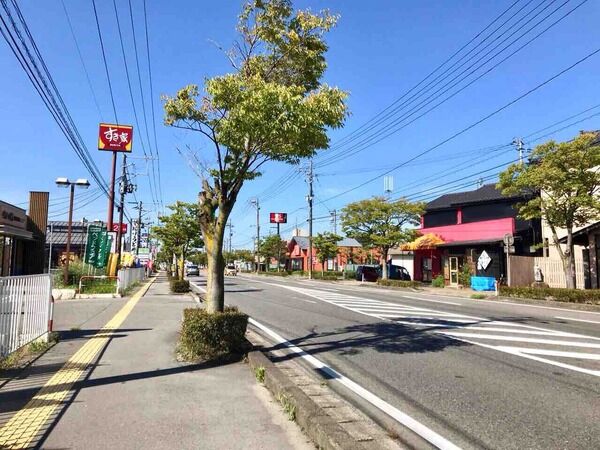 kameda