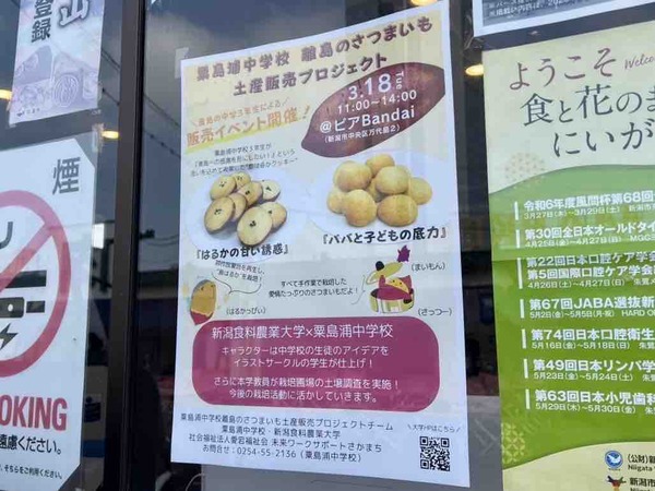 粟島浦中学校 離島のさつまいも