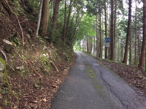 【悲報】地方の道路事情ガチでやばいw国が管理してる国道クラスなのに酷すぎるwwwwwww