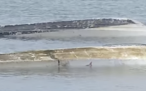 辺野古の事故って最終的にどうなると思う？